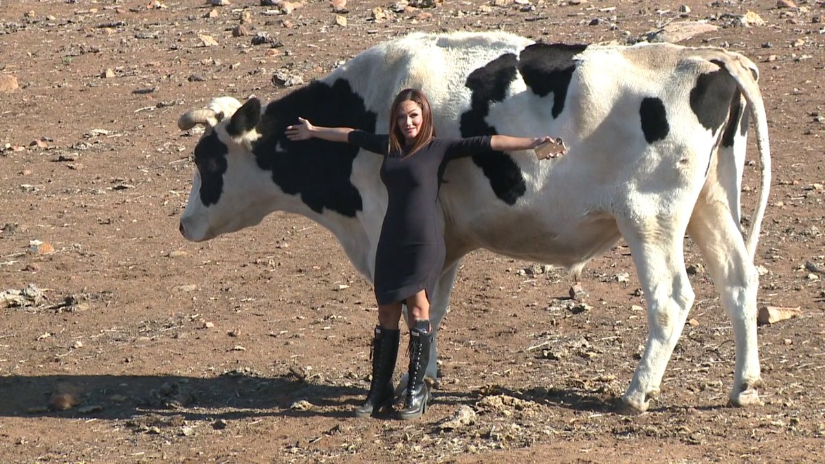 cow-with-maria.jpeg.jpg